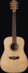Washburn WD7S Harvest Series Acoustic Guitar