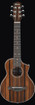 Ibanez EWP13DBO EWP Series Acoustic Guitar, Dark Brown Open Pore
