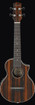 Ibanez UEW13MEEDBO Acoustic Ukulele, Dark Brown Open Pore