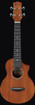 Ibanez UEW5 Acoustic Ukulele, Open Pore Natural