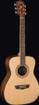 Washburn AF5K-A-U Apprentice Series Acoustic Guitar, Natural