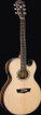 Washburn EA20SNB-O-U Festival Series Nuno Bettencourt Acoustic-Electric Guitar, Natural