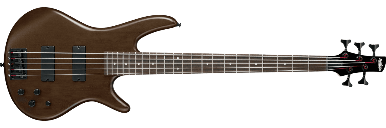 Ibanez GSR205BWNF