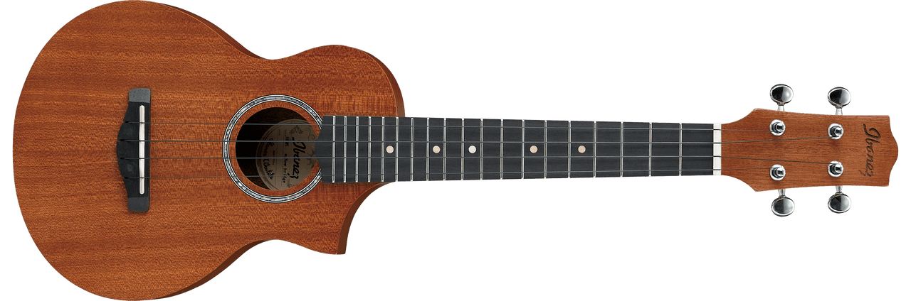 Ibanez UEW5