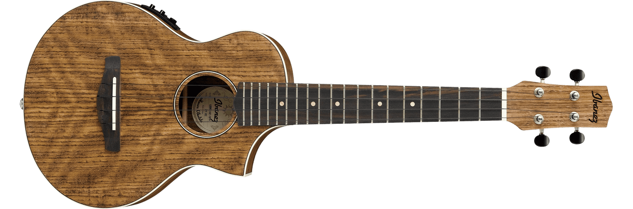 Ibanez UEWT14E