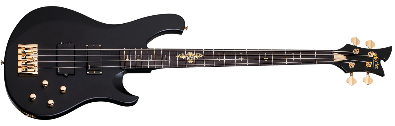 Schecter 213