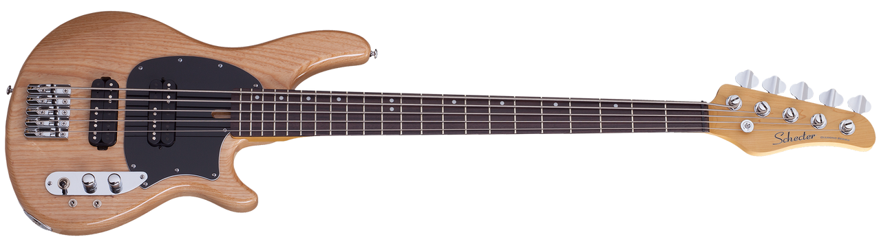 Schecter 2493