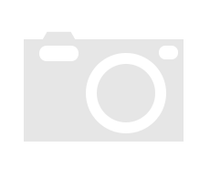 Floyd Rose FRS2TBPSGP Floyd Rose FRS2TBPSGP