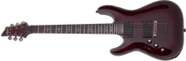 Schecter 1795 Schecter 1795