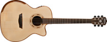 Washburn WCG25SCE Washburn WCG25SCE