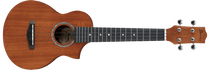 Ibanez UEW5