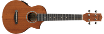 Ibanez UEW5E