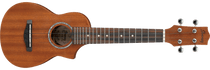 Ibanez UEWS5