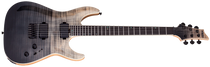 Schecter 1351