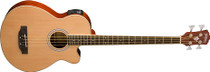 Washburn AB5K-A-U Washburn AB5K-A-U