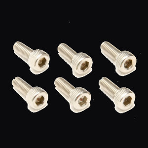 Floyd Rose Original Stainless Steel Saddle Mounting Screws (Set of 6) - FROSMSSSP