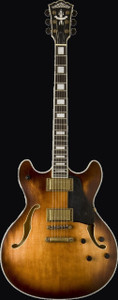 Washburn HB36K Semi-Hollowbody Series Electric Guitar