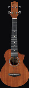 Ibanez UEW5 Acoustic Ukulele, Open Pore Natural