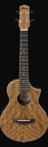 Ibanez UEWT14E Acoustic Ukulele, Open Pore Natural