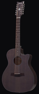 Schecter 3714 Orleans Studio-12 Acoustic Guitar, Satin See Thru Black