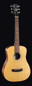 Cort AD-MINI-OP Standard Series Acoustic Guitar, Open Pore