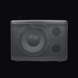 Powerwerks PW110SUB 10" 400 Watt Powered Subwoofer