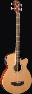 Washburn AB5K-A-U Acoustic Bass Guitar, Natural
