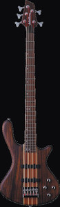 Washburn T25NMK-D-U Taurus Series Electric Bass Guitar, Natural Matte