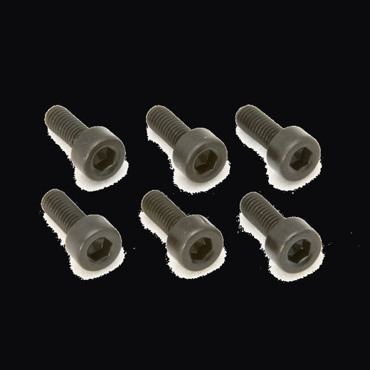 Floyd Rose Original Black Saddle Mounting Screws (Set of 6) - FROSMSBP