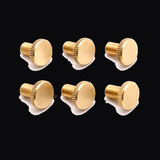Floyd Rose Original Brass Brass Fine Tuning Screws (Set of 6) - FROFTSBRASSP