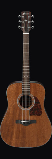 Ibanez AW54OPN Artwood Series Acoustic Guitar, Open Pore Natural