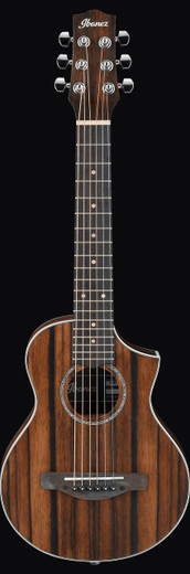 Ibanez EWP13DBO EWP Series Acoustic Guitar, Dark Brown Open Pore