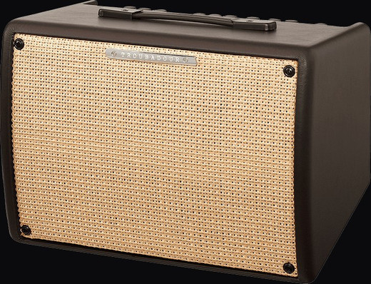 Ibanez T30II Troubadour II Acoustic Guitar Combo Amplifier, 30W