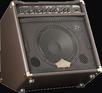 Washburn WA30-U Acoustic Guitar Amplifier, 30W, Brown
