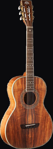 Washburn WP55NS-W-U Parlor Series Acoustic Guitar, Natural Satin