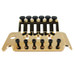 Floyd Rose FROTBPGP