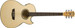 Washburn EA20