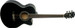 Washburn EA12B-A-U