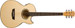 Washburn EA20-A-U