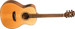 Washburn WLO100SWEK-D-U