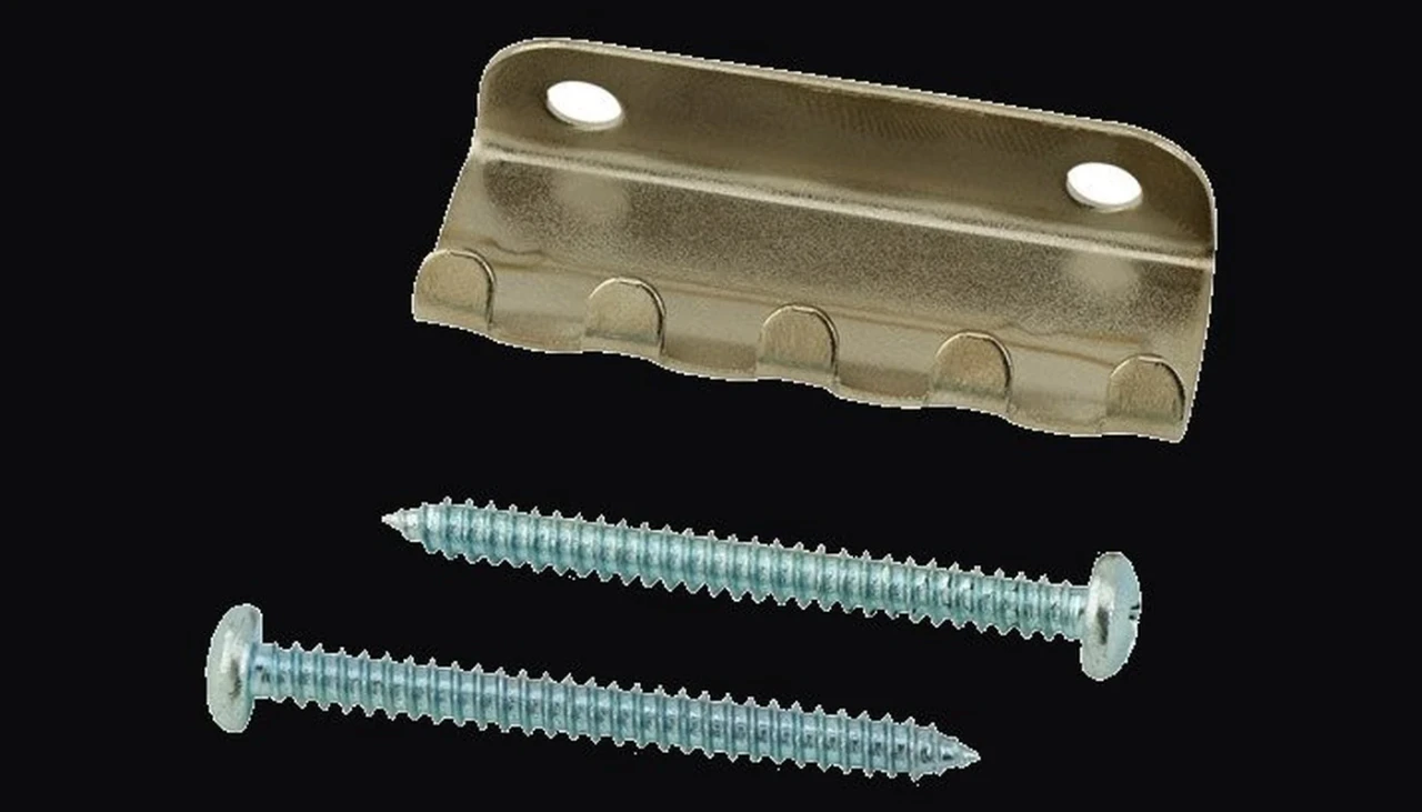 Floyd Rose tremolo claw and mounting screws