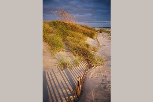 Sand fence and Dune Giclee