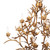 Southern Living Trillium Chandelier Small