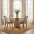 Taniea Modern Tan Rug - Tan