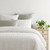 Lettie Voile Quilted Sham - Dove White
