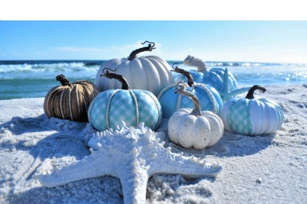 Coastal Pumpkin Family