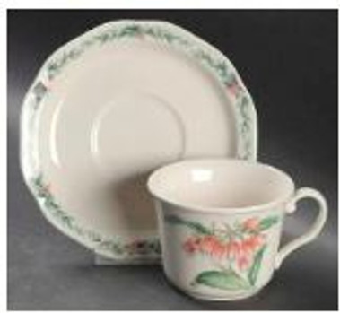 Conservatory Noritake Cup And Saucer