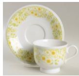 Parkside Cup and Saucer
