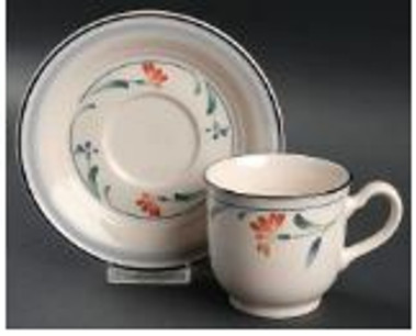 Shannon Spring Noritake Cup And Saucer