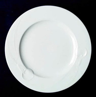 Ambiance Mikasa Dinner Plate